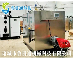 1噸燃氣（油）蒸汽發(fā)生器 現(xiàn)貨供應(yīng)，工廠直銷，規(guī)格型號眾多，可來電咨詢
